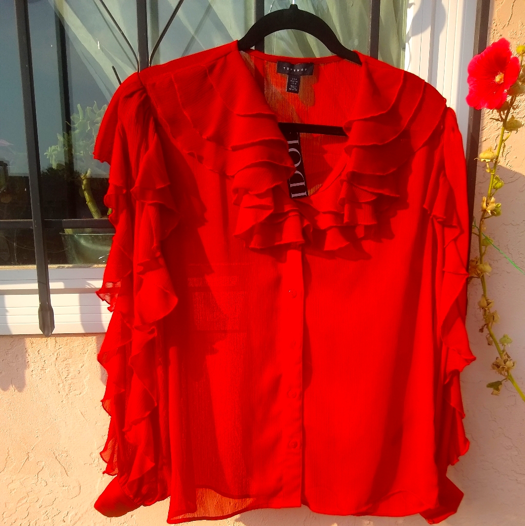 Sexy Sheer Brand New Blouse